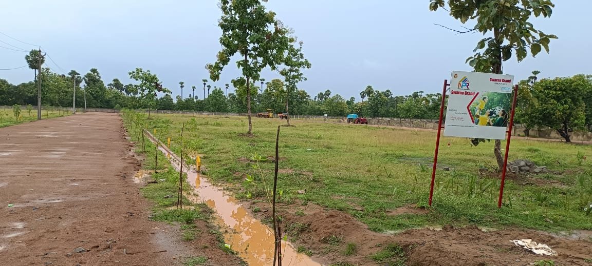 Alamanda plots for invesrment