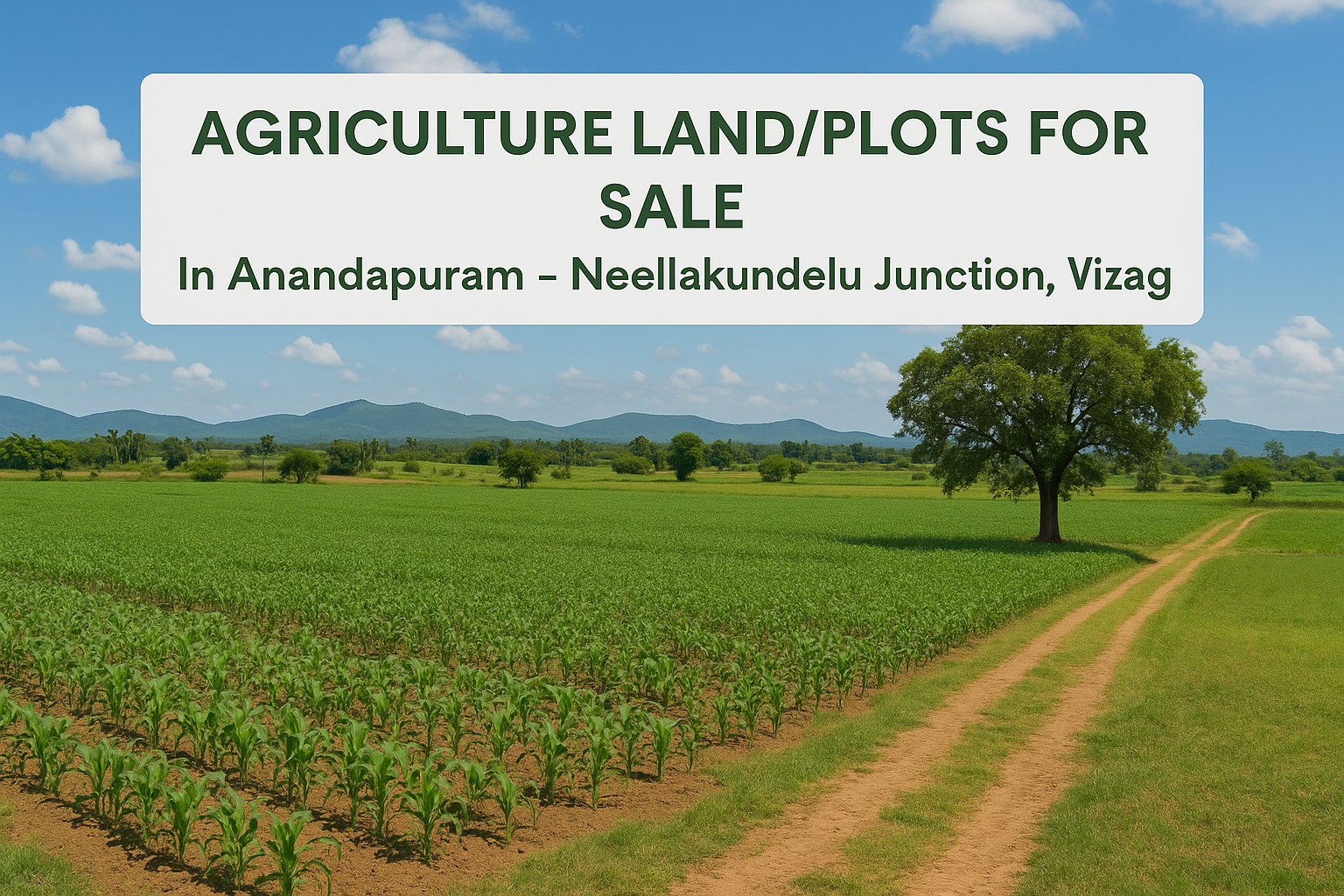 Agriculture Lands and Plots for Sale in Anandapuram Kusulavada Vizag