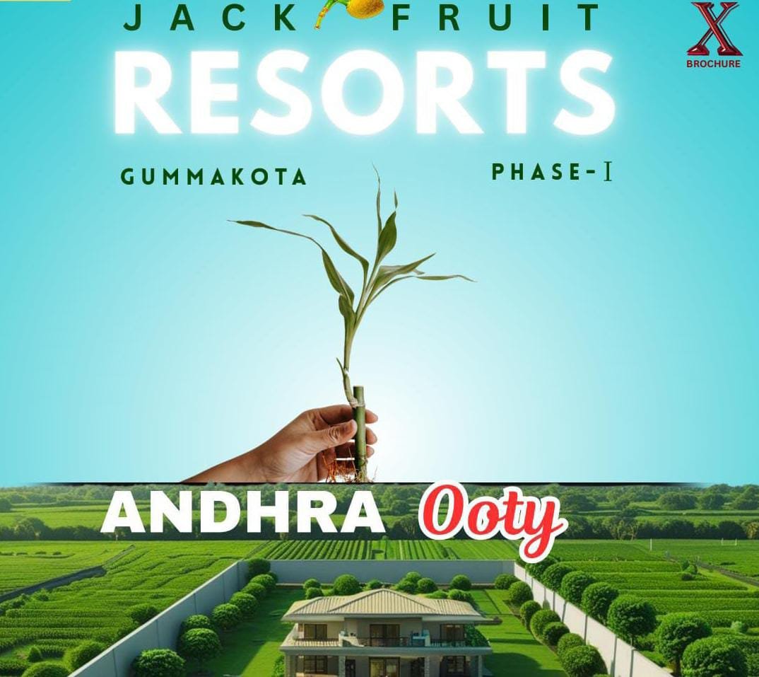Low Cost Farm Land Layout in Gummakota – Converted Plots for Sale