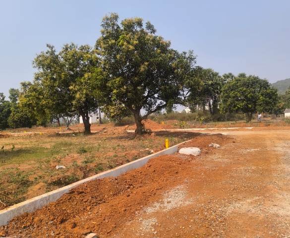 Affordable VMRDA Approved Plots in Ramavaram Near Sontyam – ₹13,999 Per Sq Yard