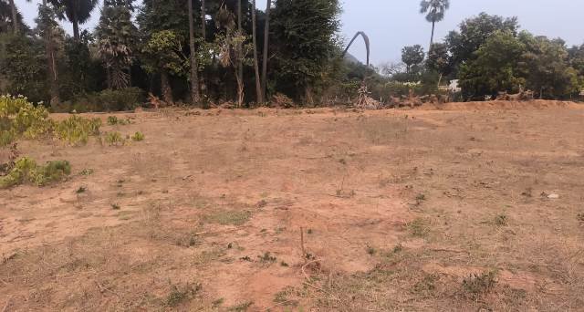 Bhogapuram VMRDA Plots & Panchayat Lands | Smart Investment Near Airport