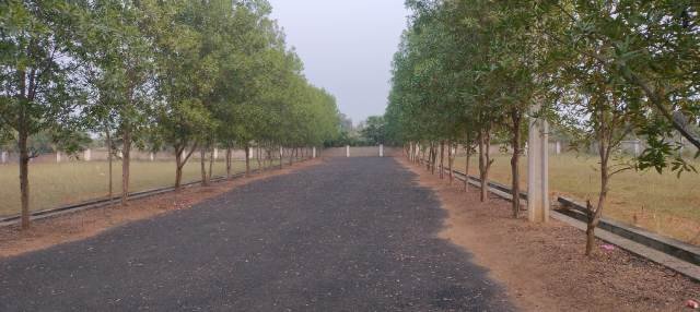 Affordable Open Plots in Dakamarri Near Tagarapuvalasa, Visakhapatnam